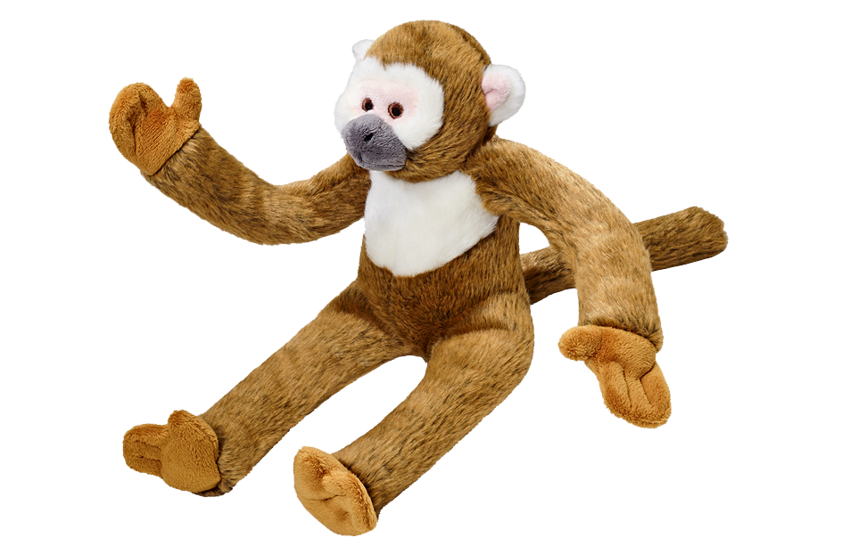 Albert the Squirrel Monkey