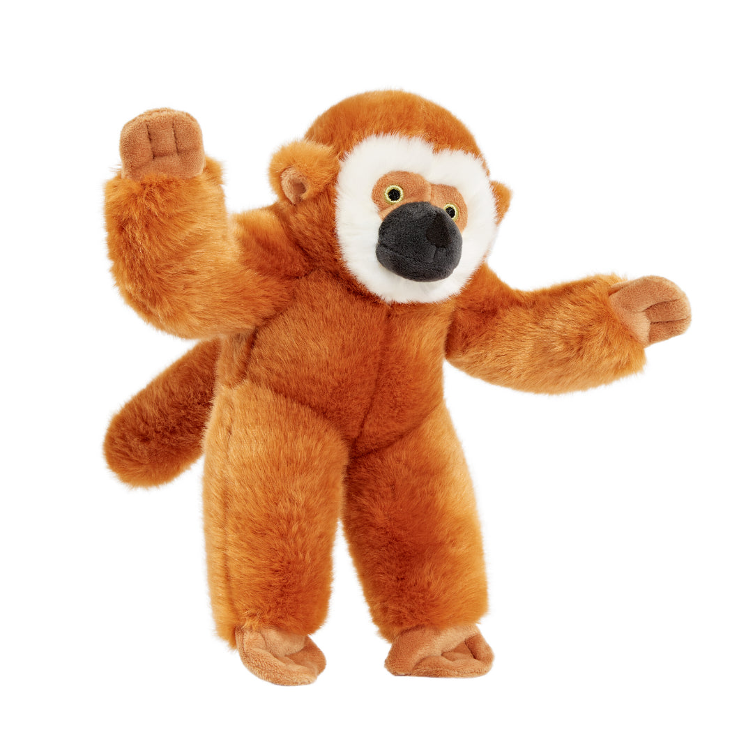 Marcel the Monkey
