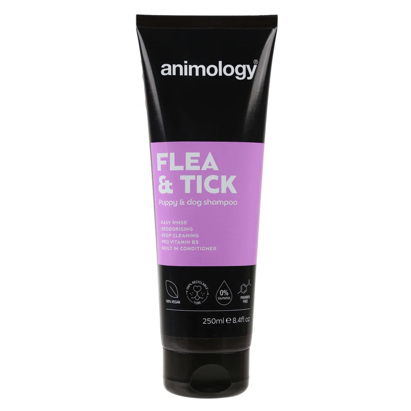 Dog Shampoo | 4 Variations