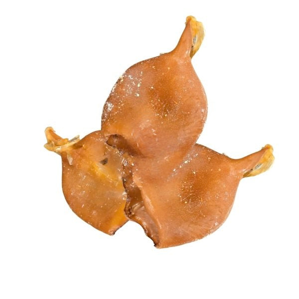 Squid Bite