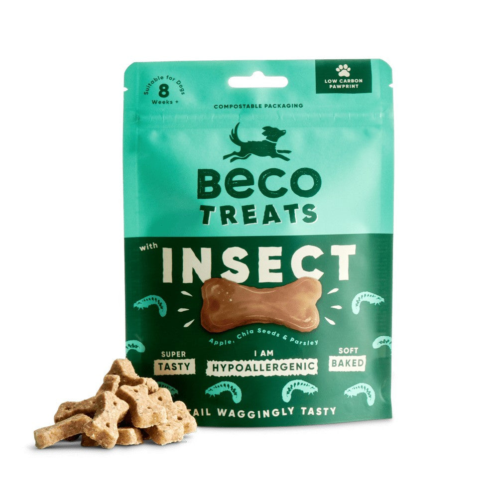 Insect Treats