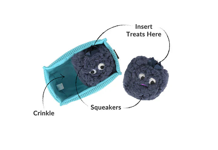Blueberries Enrichment Toy