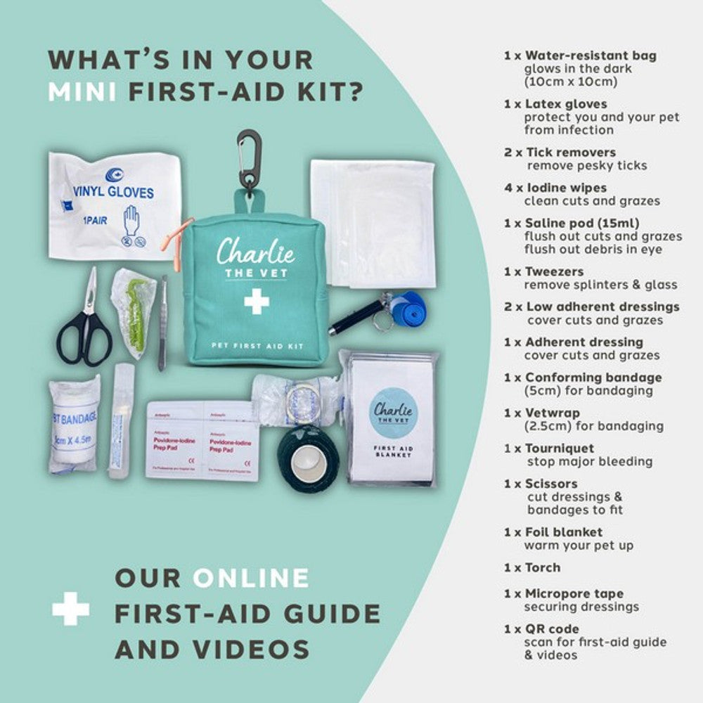 Mini Pet First Aid Kit