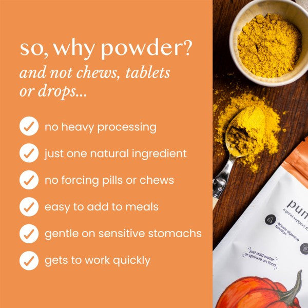 Pure and Natural Pumpkin Powder