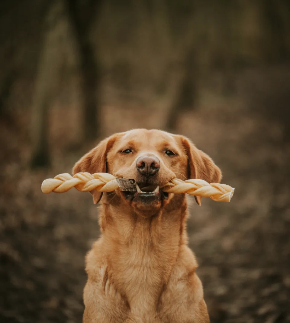 Buffalo Collagen Large Braid