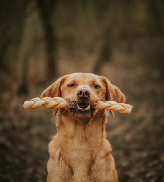 Buffalo Collagen Large Braid