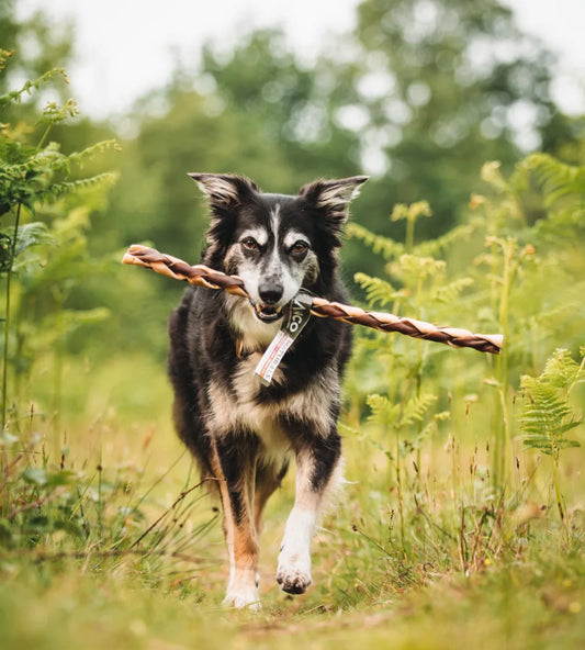 Giant Beef and Camel Braided Roll