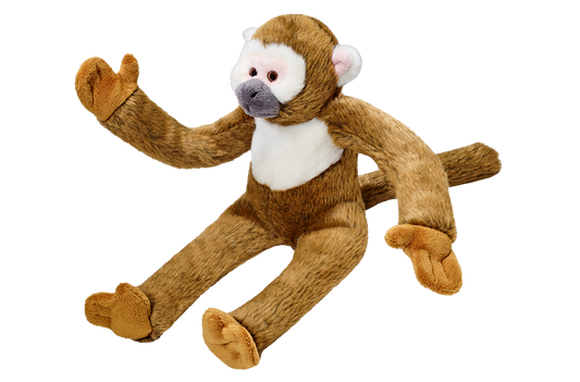 Albert the Squirrel Monkey