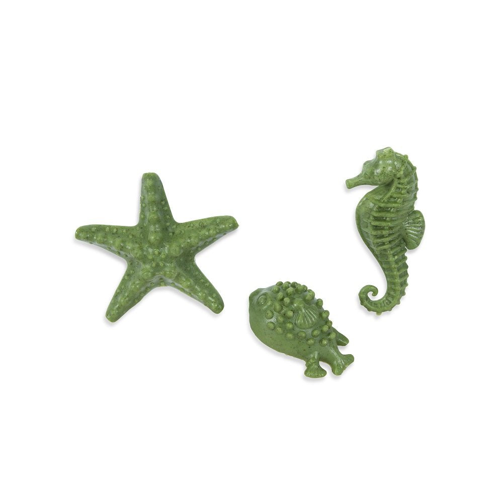 Sea Creatures