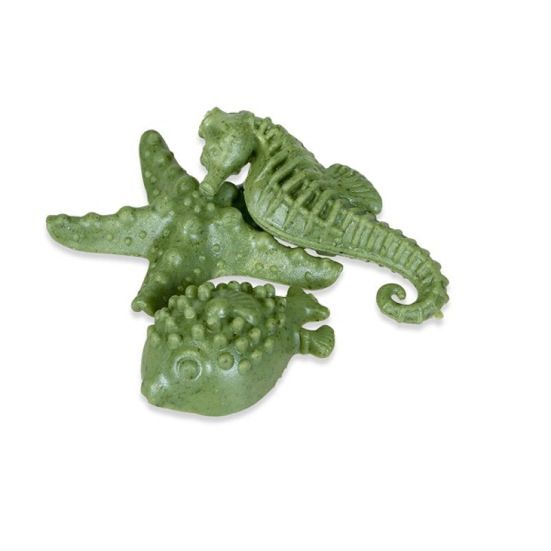 Sea Creatures