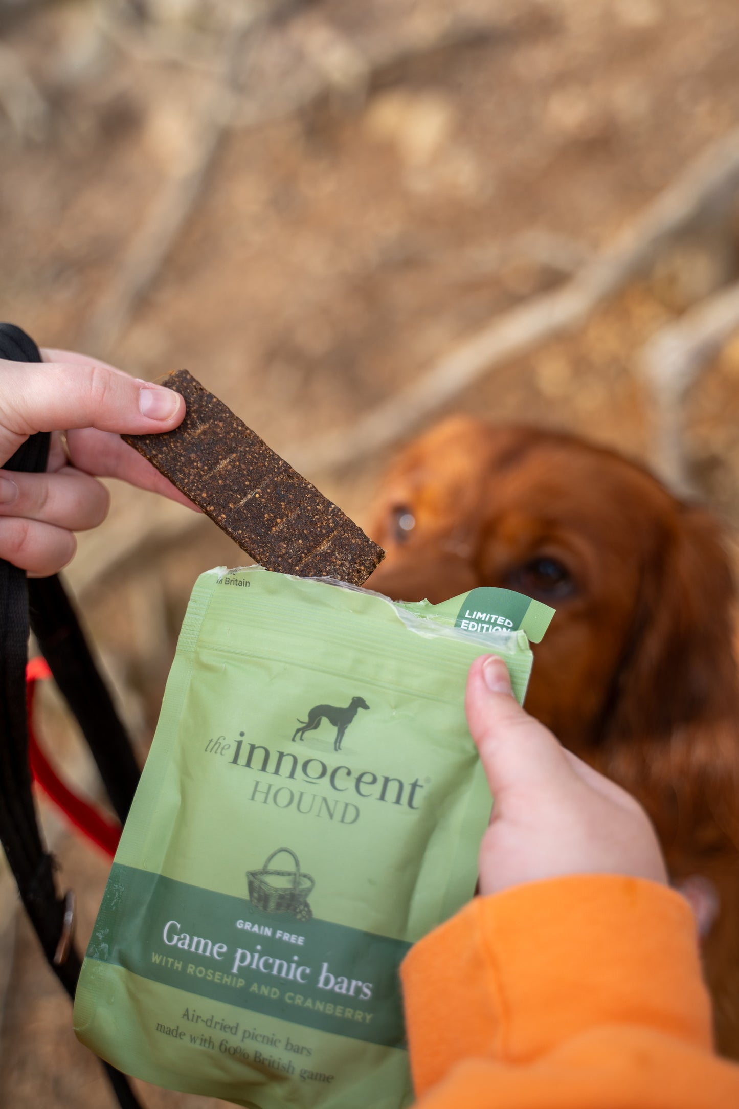 Game Picnic Bars