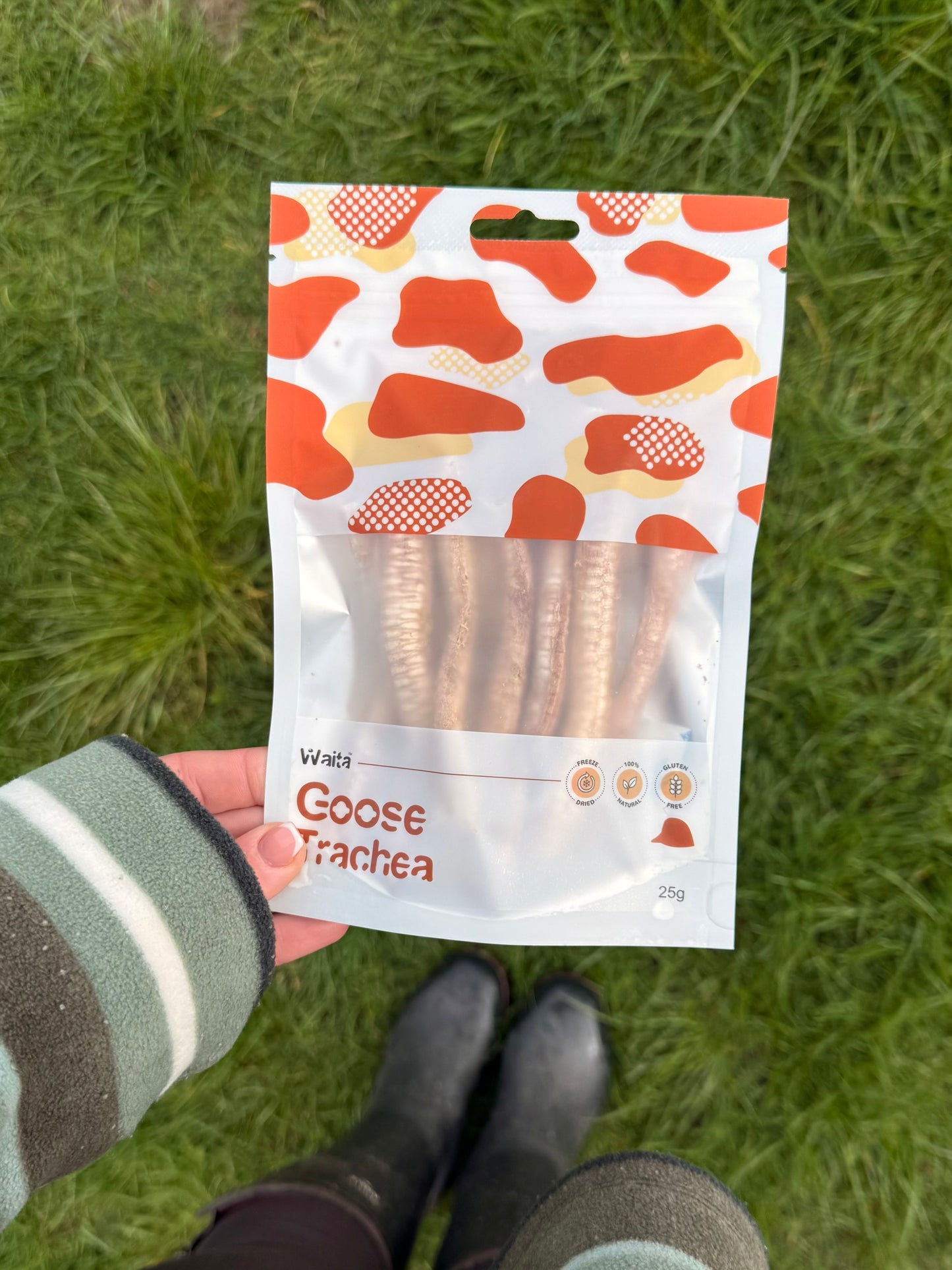 Freeze Dried Goose Trachea
