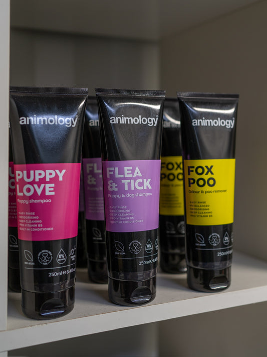 Dog Shampoo | 4 Variations