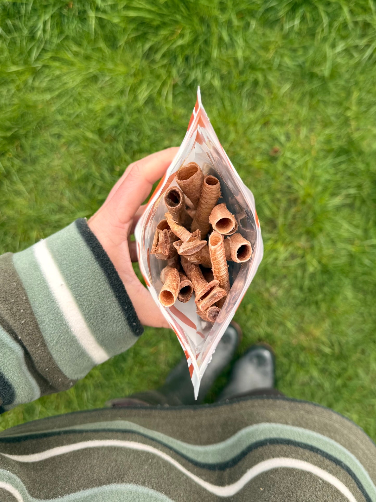Freeze Dried Goose Trachea
