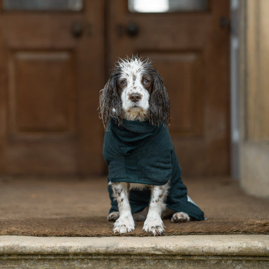 Dog Drying Coat