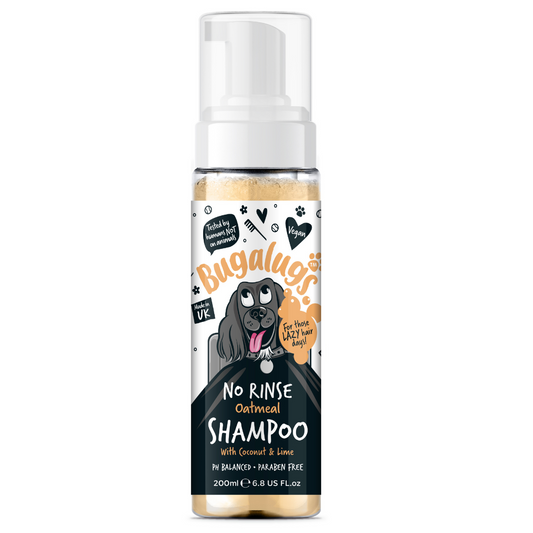 No Rinse Shampoo | 2 Scents