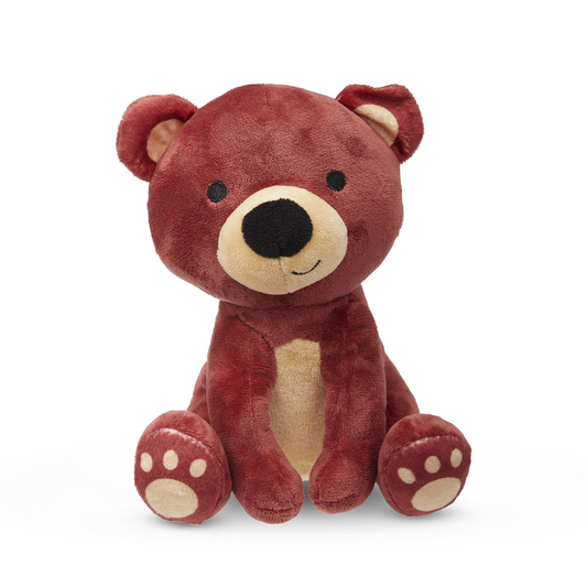 Bruno the Bear
