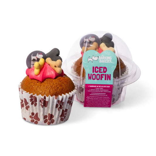 Iced Woofin