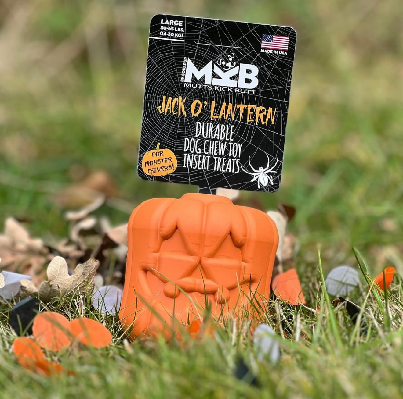 Pumpkin Enrichment Toy