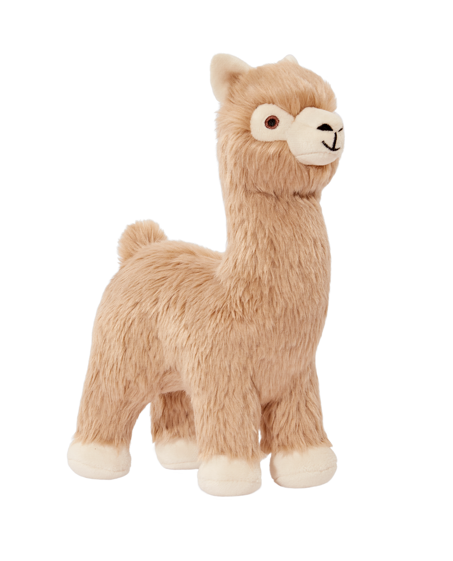 Inca Alpaca