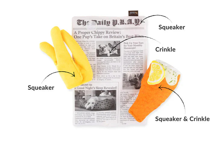 Fish n Chips Enrichment Toy