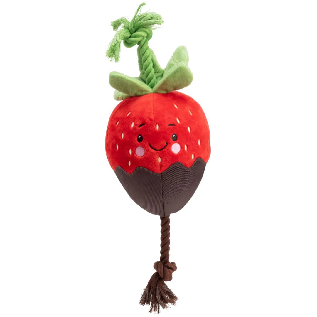 Chocolate Dipped Strawberry