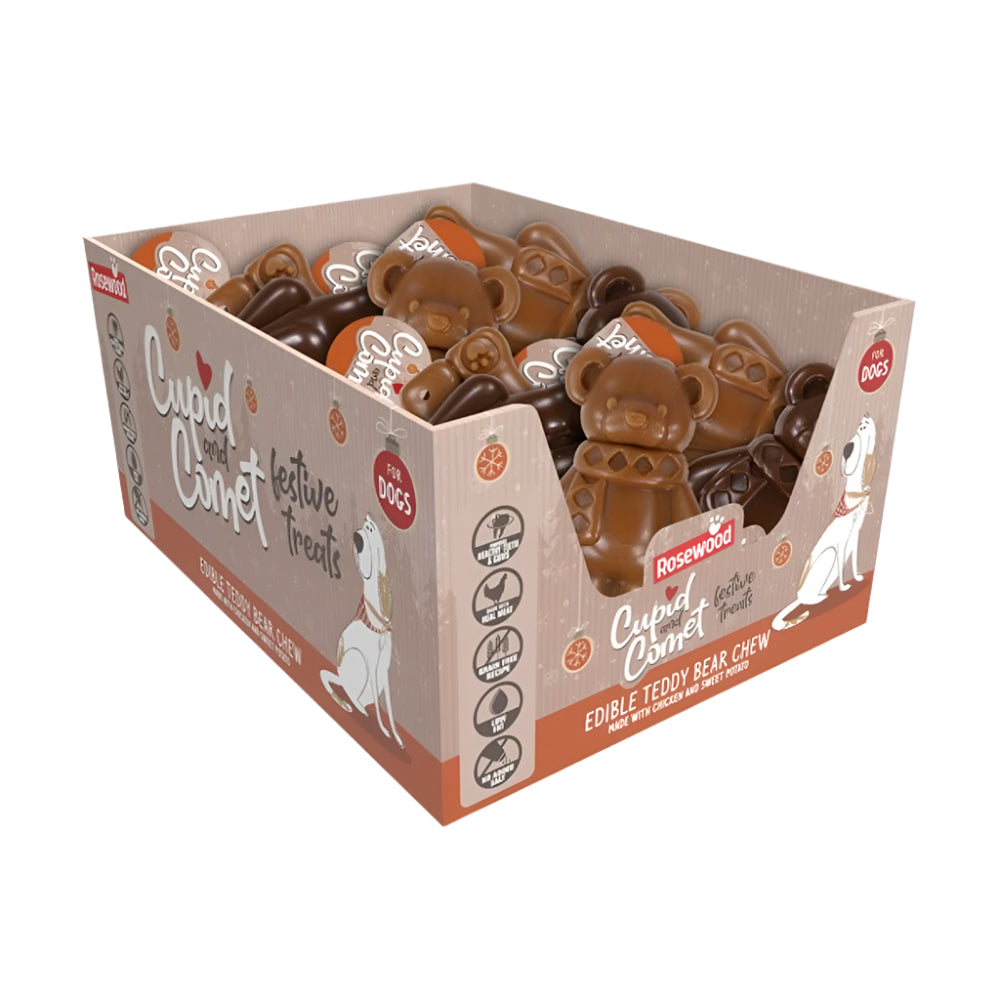 Festive Teddy Bear Chew