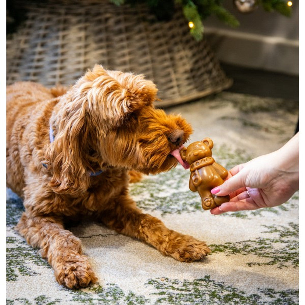 Festive Teddy Bear Chew