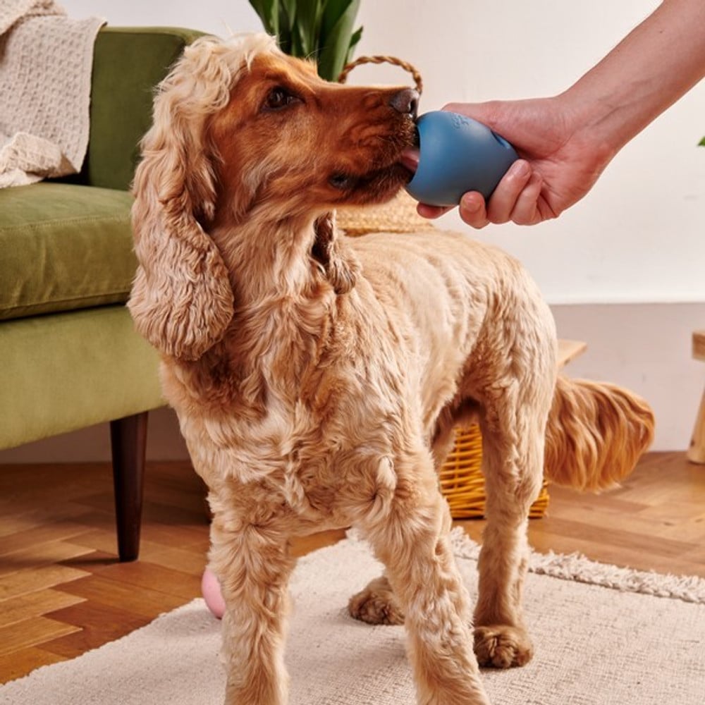 Enrichment Pebble Toy