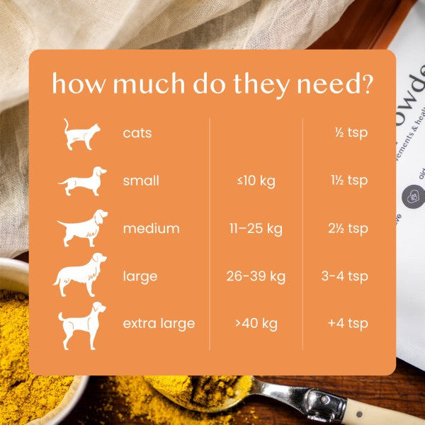 Pure and Natural Pumpkin Powder