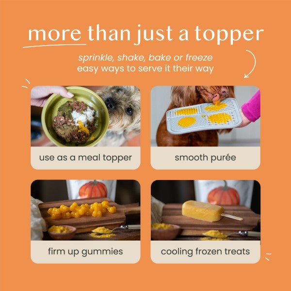 Pure and Natural Pumpkin Powder