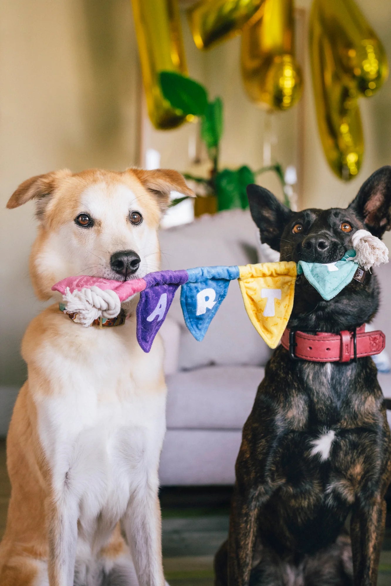 Tug n Party